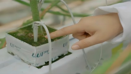 滴濺(422.238).jpg